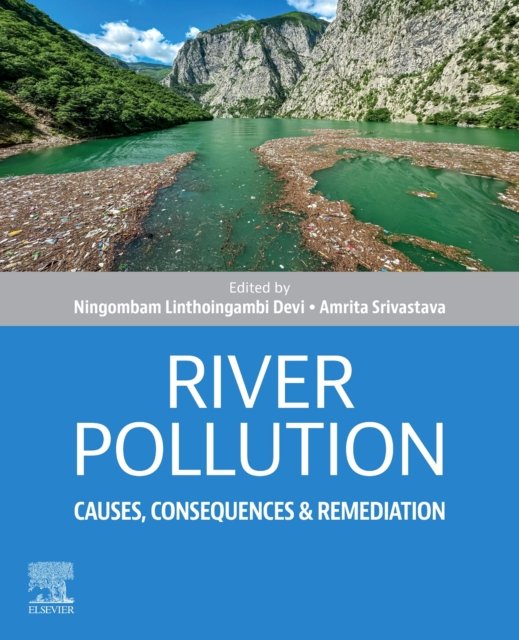 River Pollution