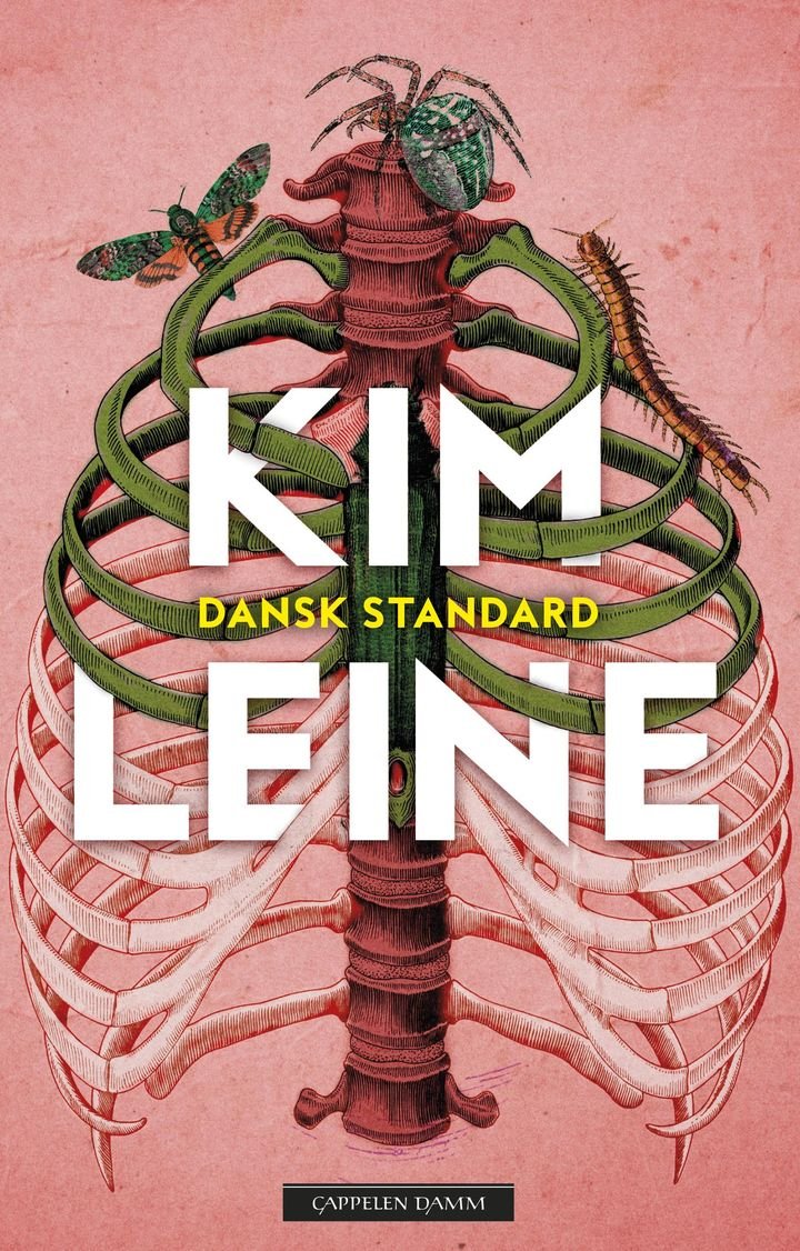 Dansk standard - roman