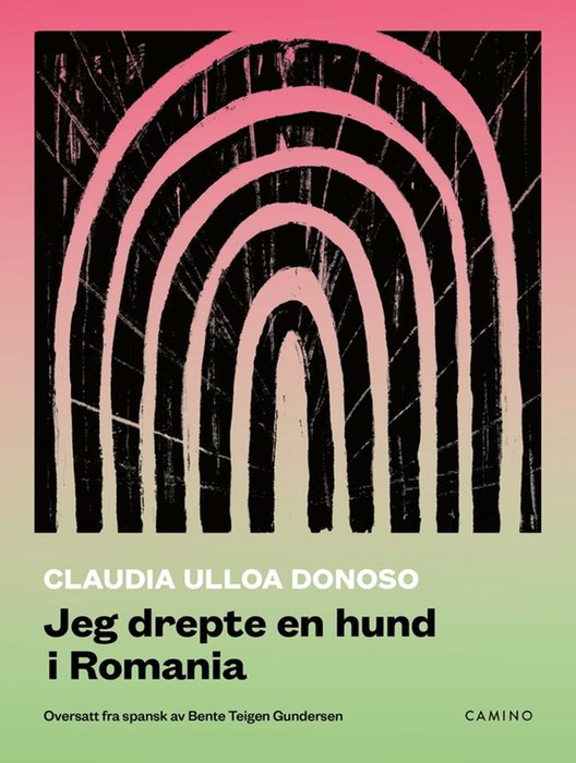 Jeg drepte en hund i Romania