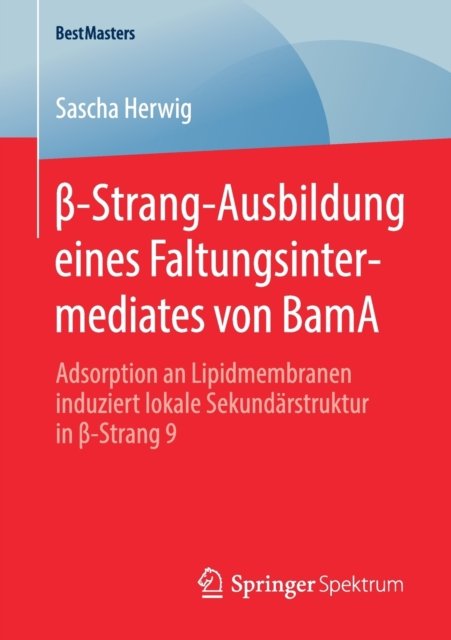 ß-Strang-Ausbildung eines Faltungsintermediates von BamA