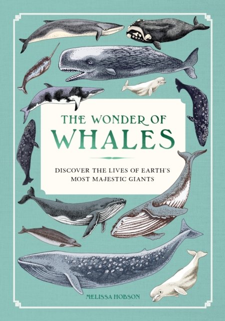 The Wonder of Whales