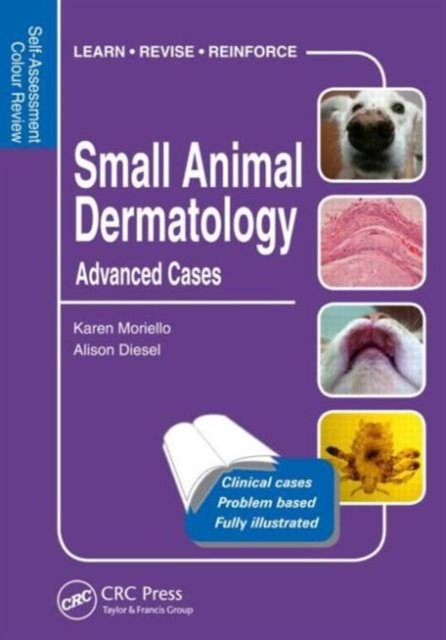 Small Animal Dermatology, Advanced Cases