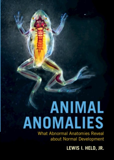 Animal Anomalies