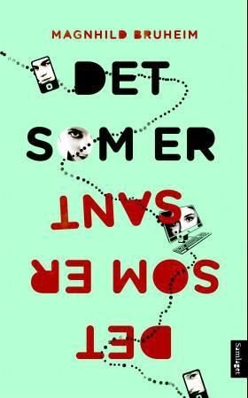Det som er sant - roman