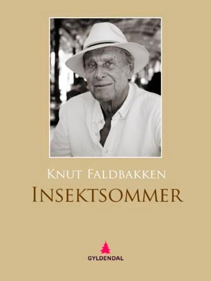 Insektsommer - roman
