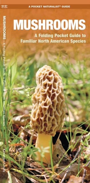 Mushrooms