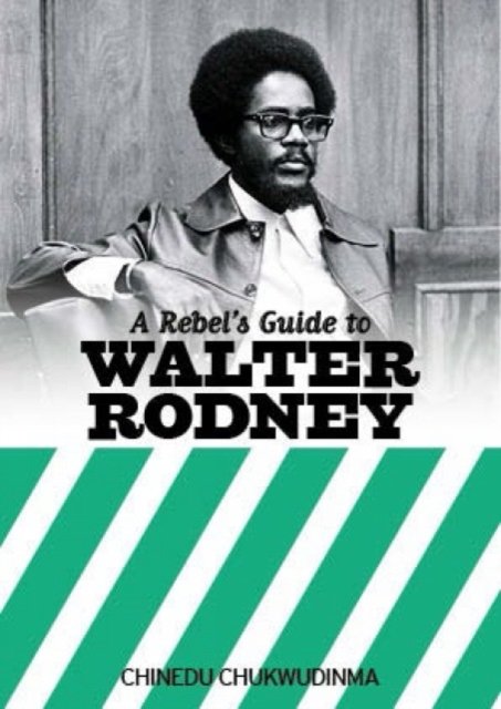 Rebel''s Guide to Walter Rodney