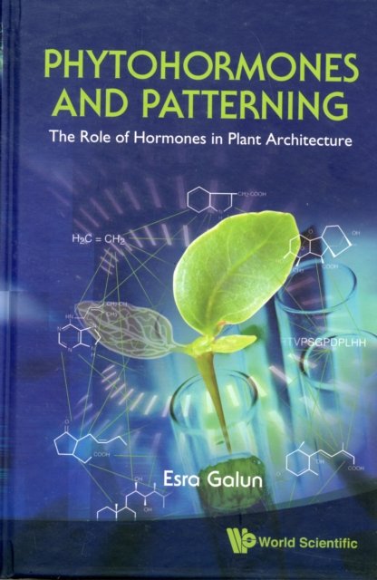 Phytohormones and Patterning