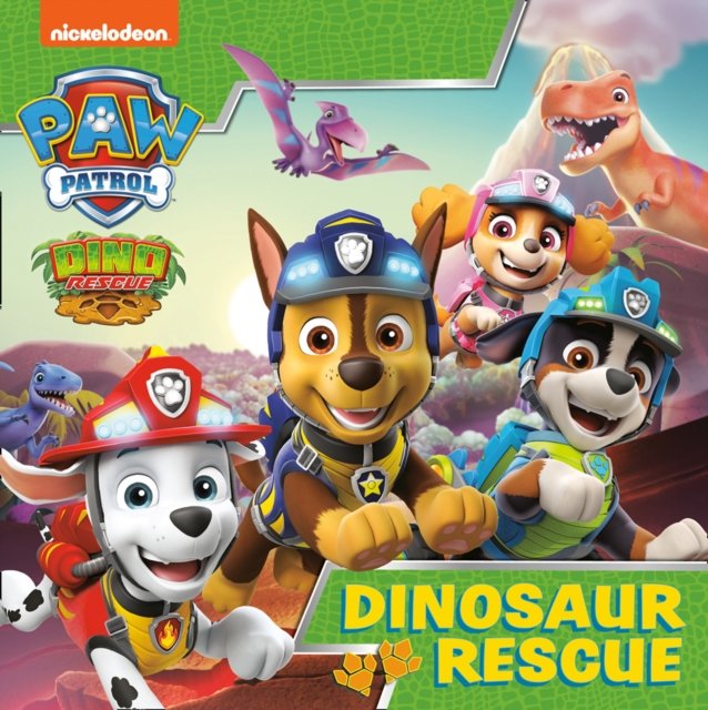 PAW PATROL PICTURE BK DINOS PB