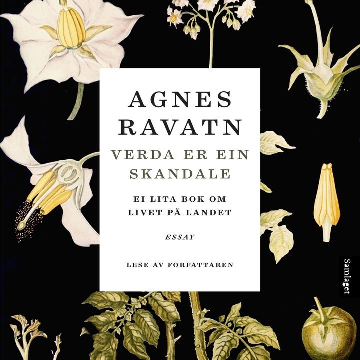 Verda er ein skandale - ei lita bok om livet