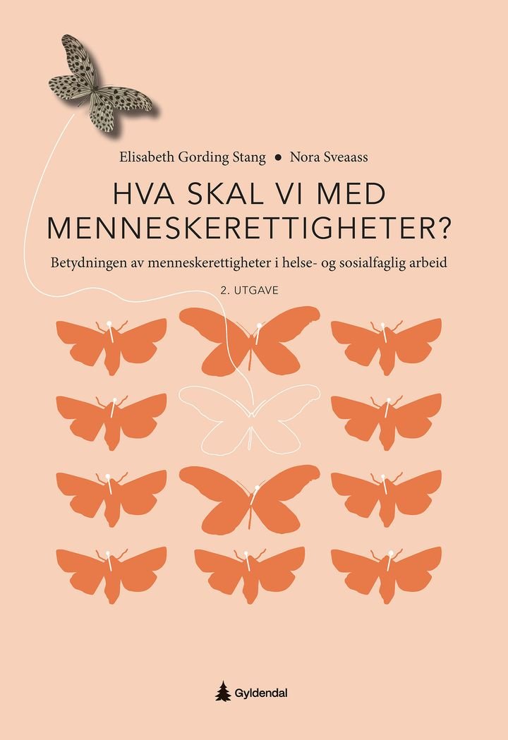 Hva skal vi med menneskerettigheter? - betydningen av menneskerettigheter i helse- og sosialfaglig arbeid