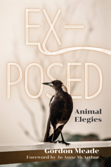 EX-Posed