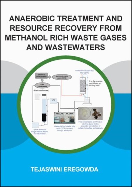 Anaerobic Treatment and Resource Recovery from Methanol Rich Waste Gases and Wastewaters