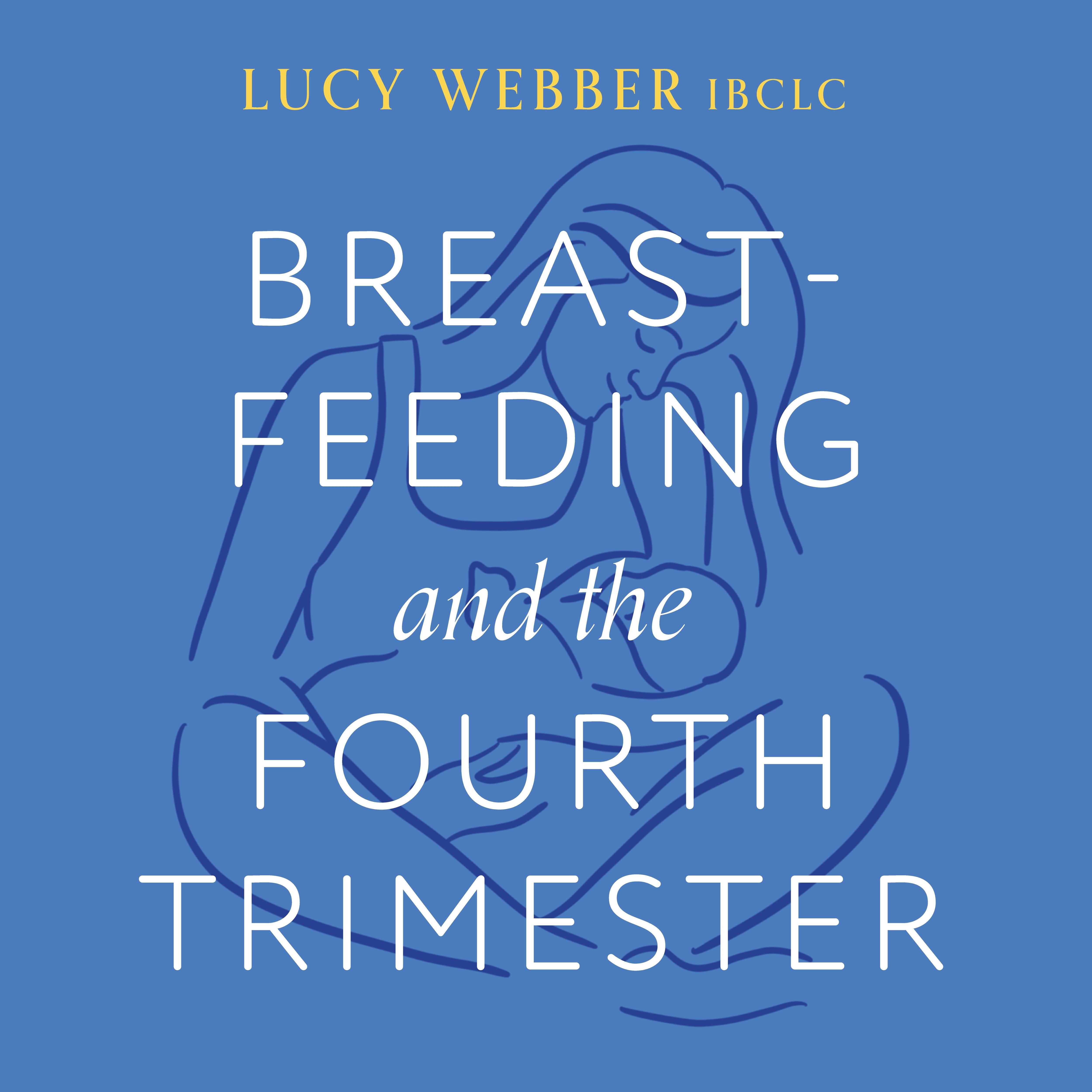 Breastfeeding and the Fourth Trimester