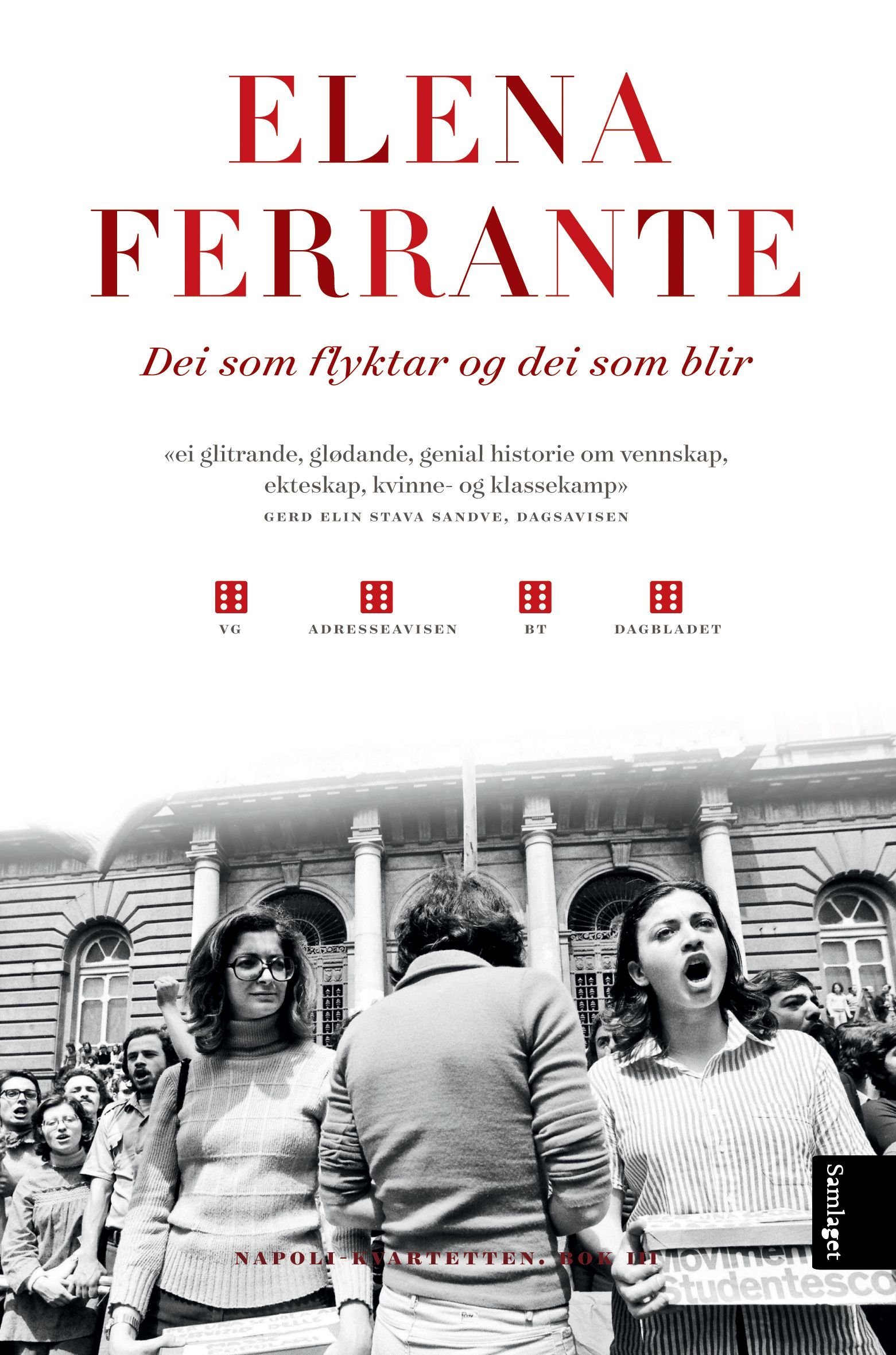 Dei som flyktar og dei som blir - mellomår : roman
