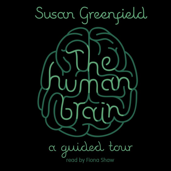 The Human Brain