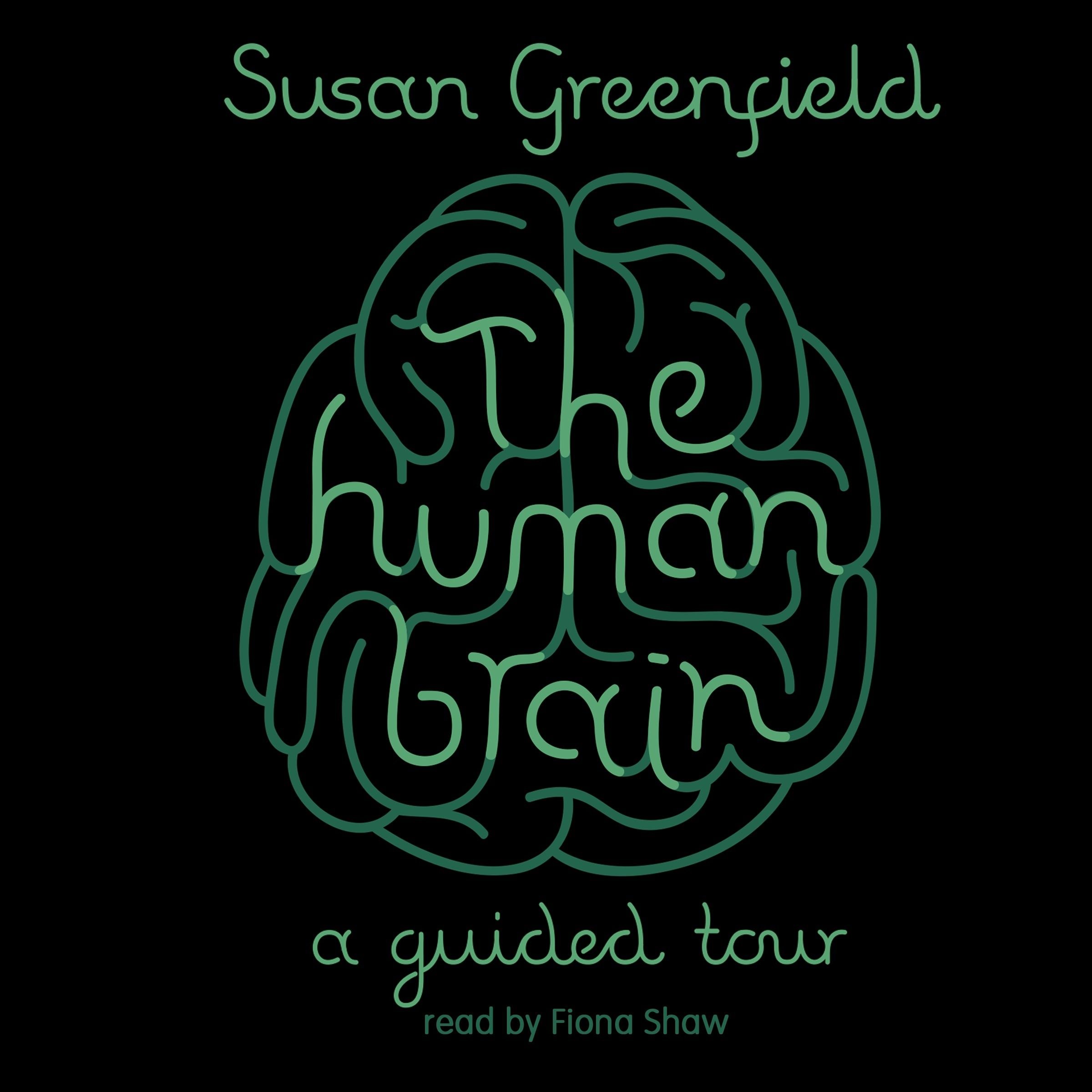 The Human Brain