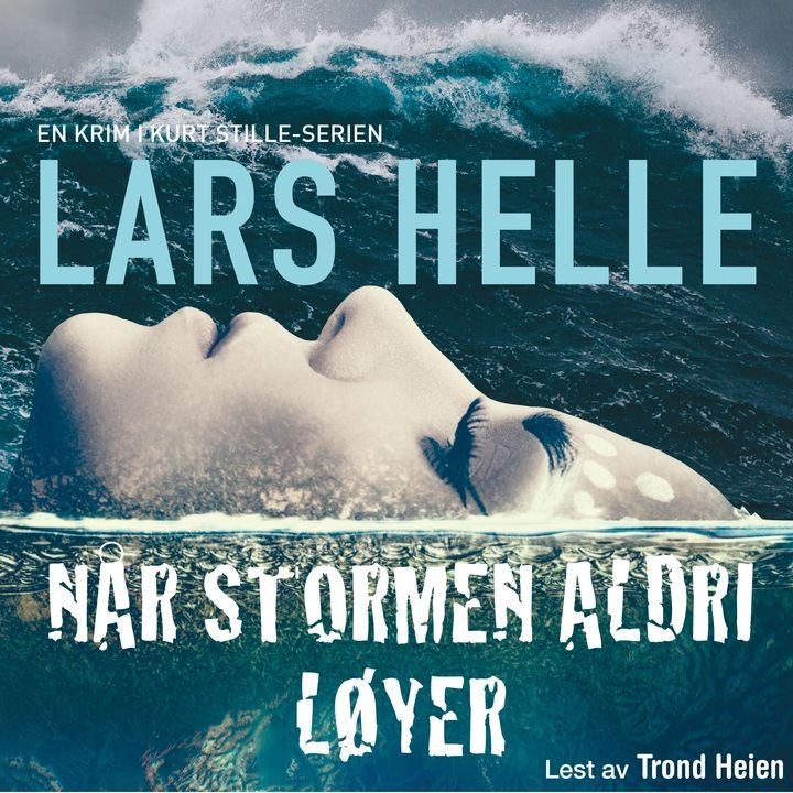Når stormen aldri løyer - roman