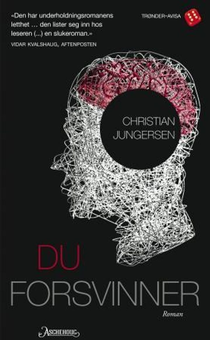 Du forsvinner - roman