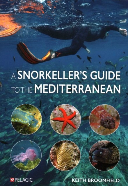 A Snorkeller?s Guide to the Mediterranean