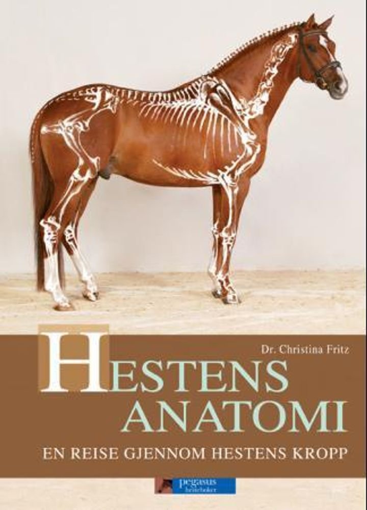 Hestens anatomi - en reise gjennom hestens kropp