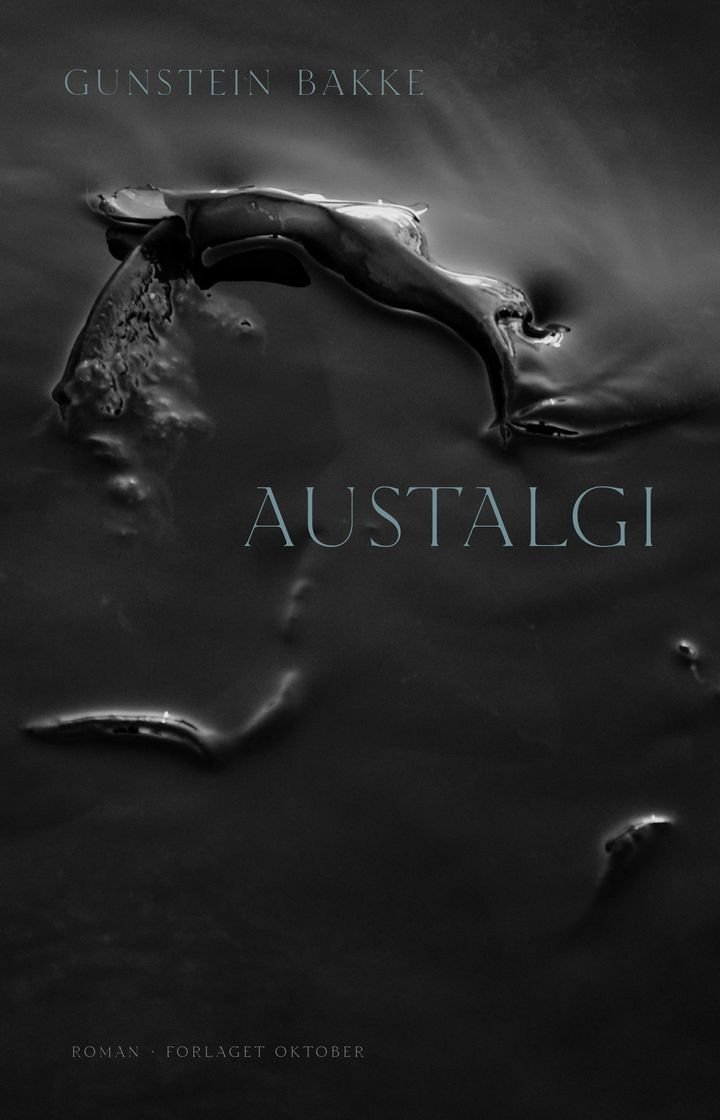Austalgi - roman