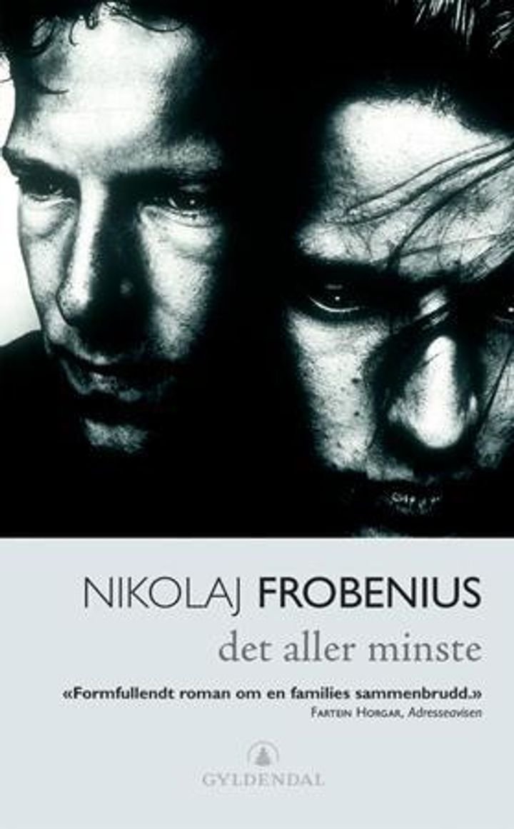 Det aller minste - roman