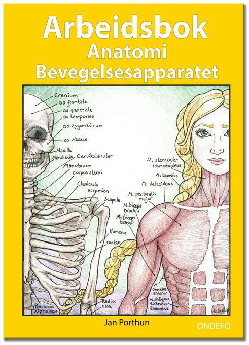 Arbeidsbok anatomi bevegelsesapparatet - for studenter som studerer helsefag, medisin eller idrett