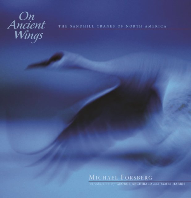 On Ancient Wings