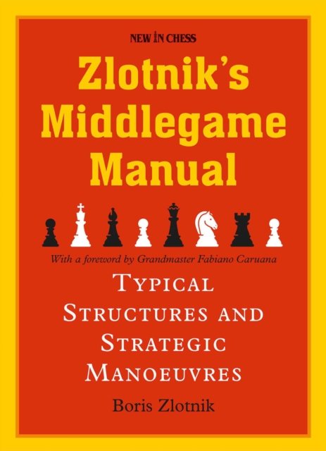 Zlotniks Middlegame Manual