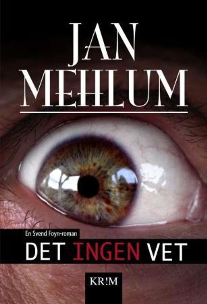 Det ingen vet - en kriminalroman