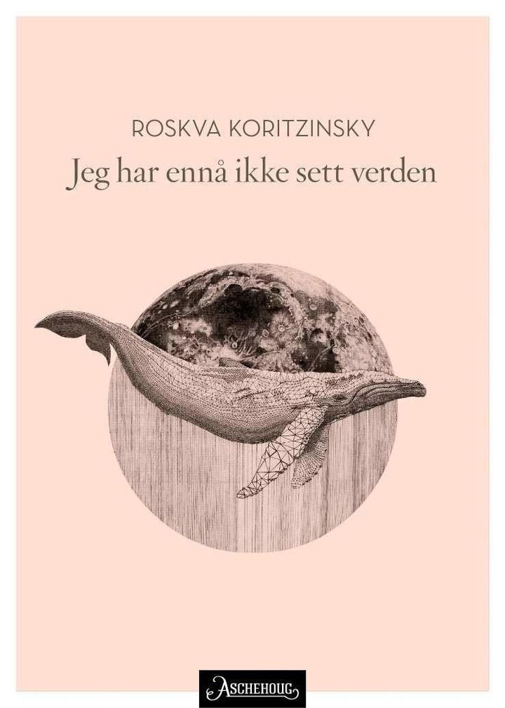 Jeg har ennå ikke sett verden - noveller