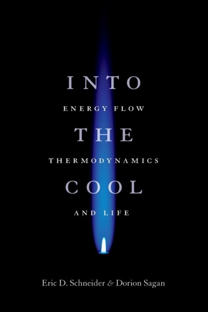 Into the Cool – Energy Flow, Thermodynamics, and Life