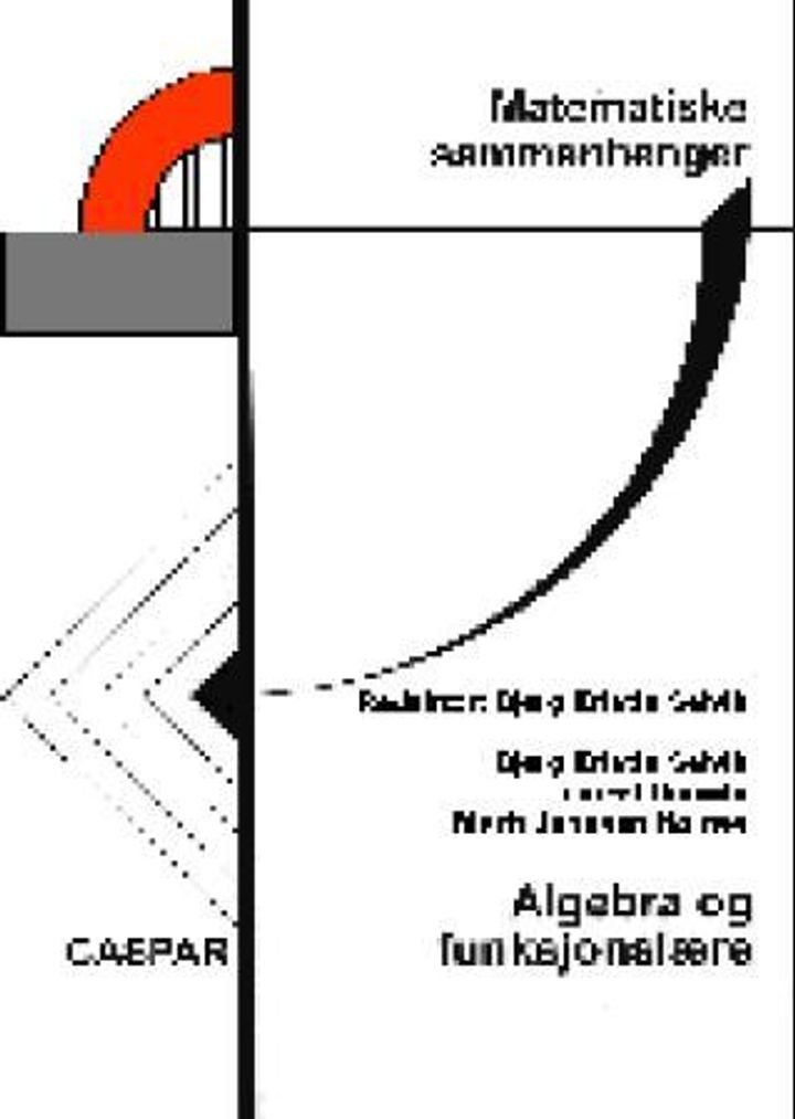 Matematiske sammenhenger - algebra og funksjonslære