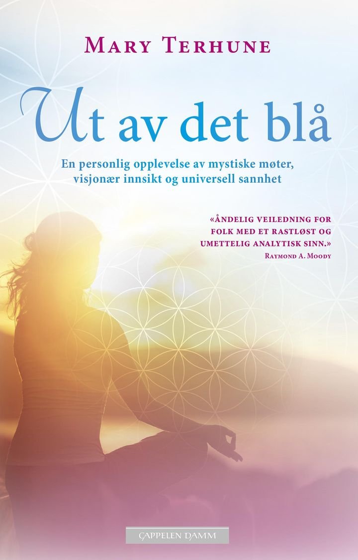 Ut av det blå - en personlig opplevelse av mystiske møter, visjonær innsikt og universell sannhet