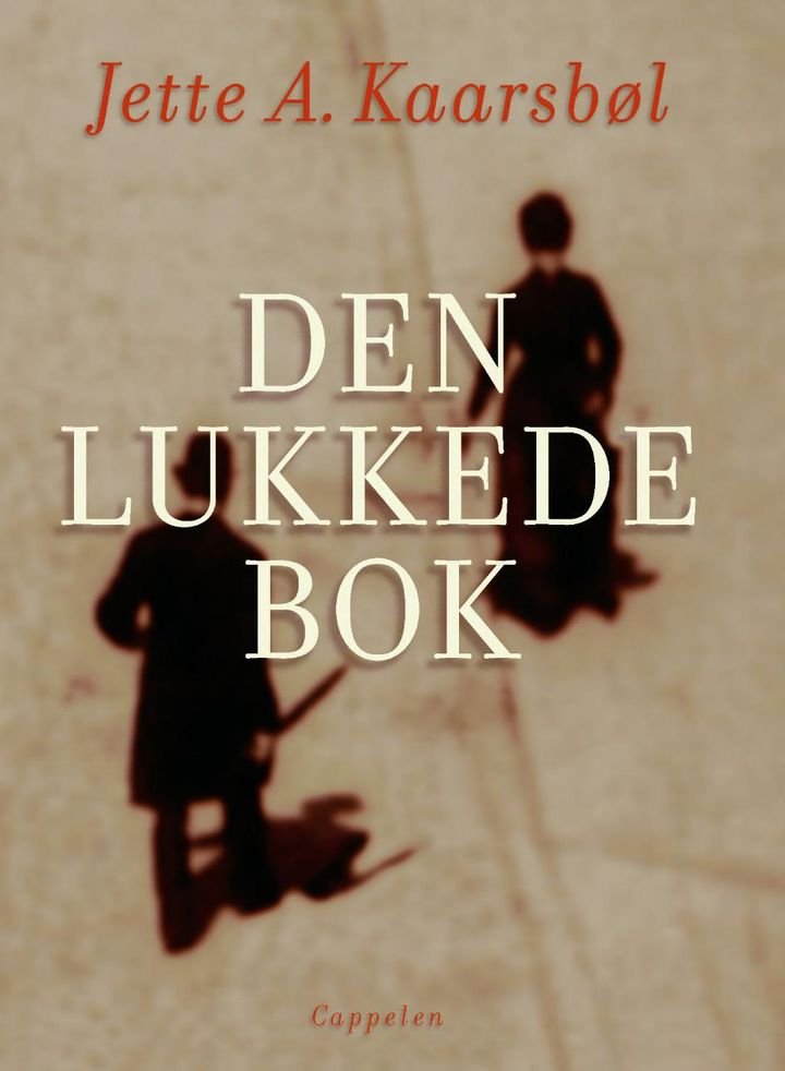 Den lukkede bok - roman