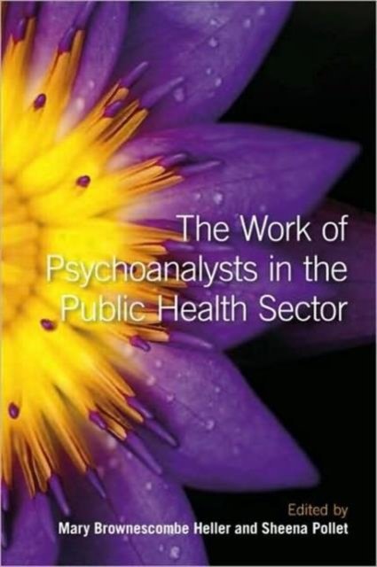 The Work of Psychoanalysts in the Public Health Sector