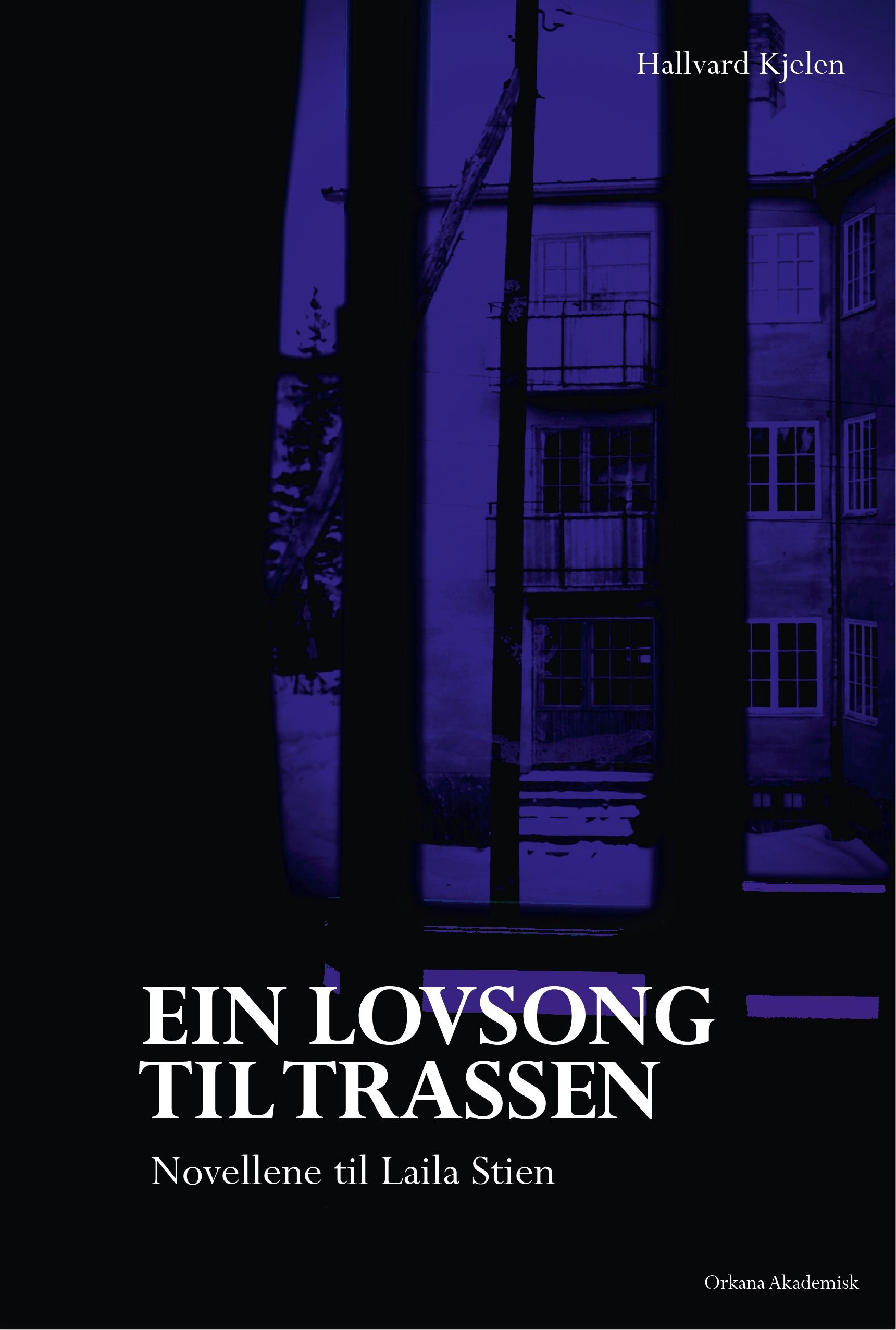 Ein lovsong til trassen - novellene til Laila Stien