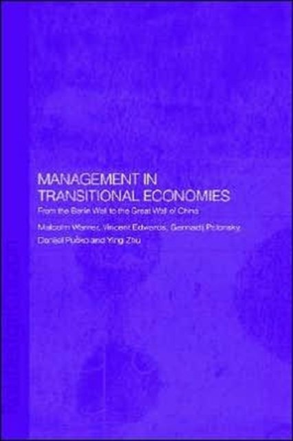 Management In Transitional Economies