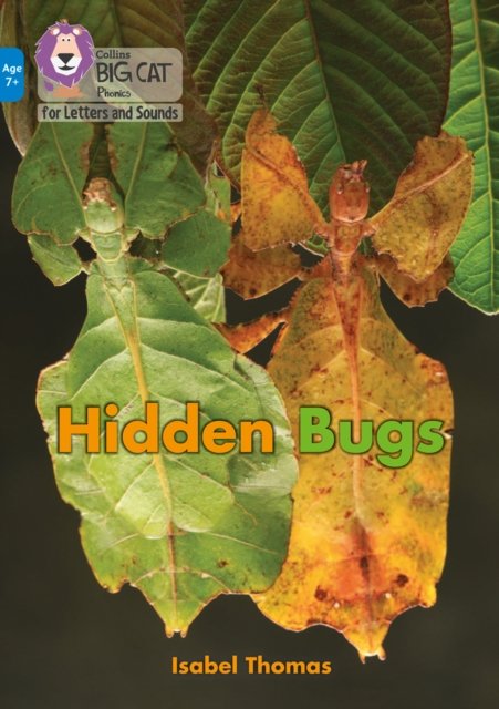 BIG CAT L&S KS2_HIDDEN BUGS