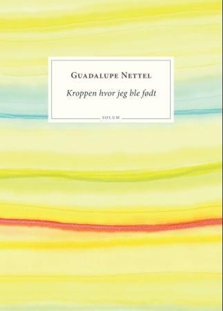 Kroppen hvor jeg ble født - roman