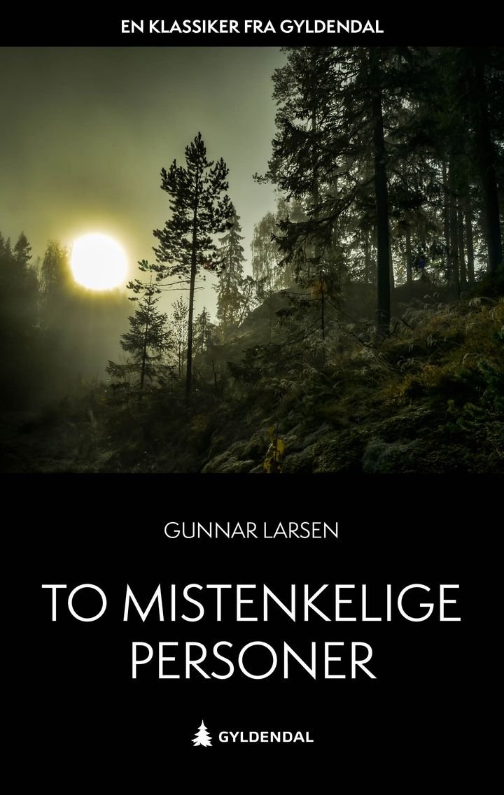 To mistenkelige personer