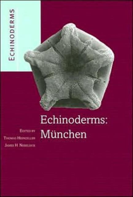 Echinoderms: Munchen