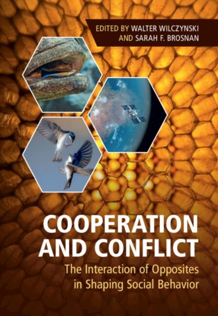 Cooperation and Conflict