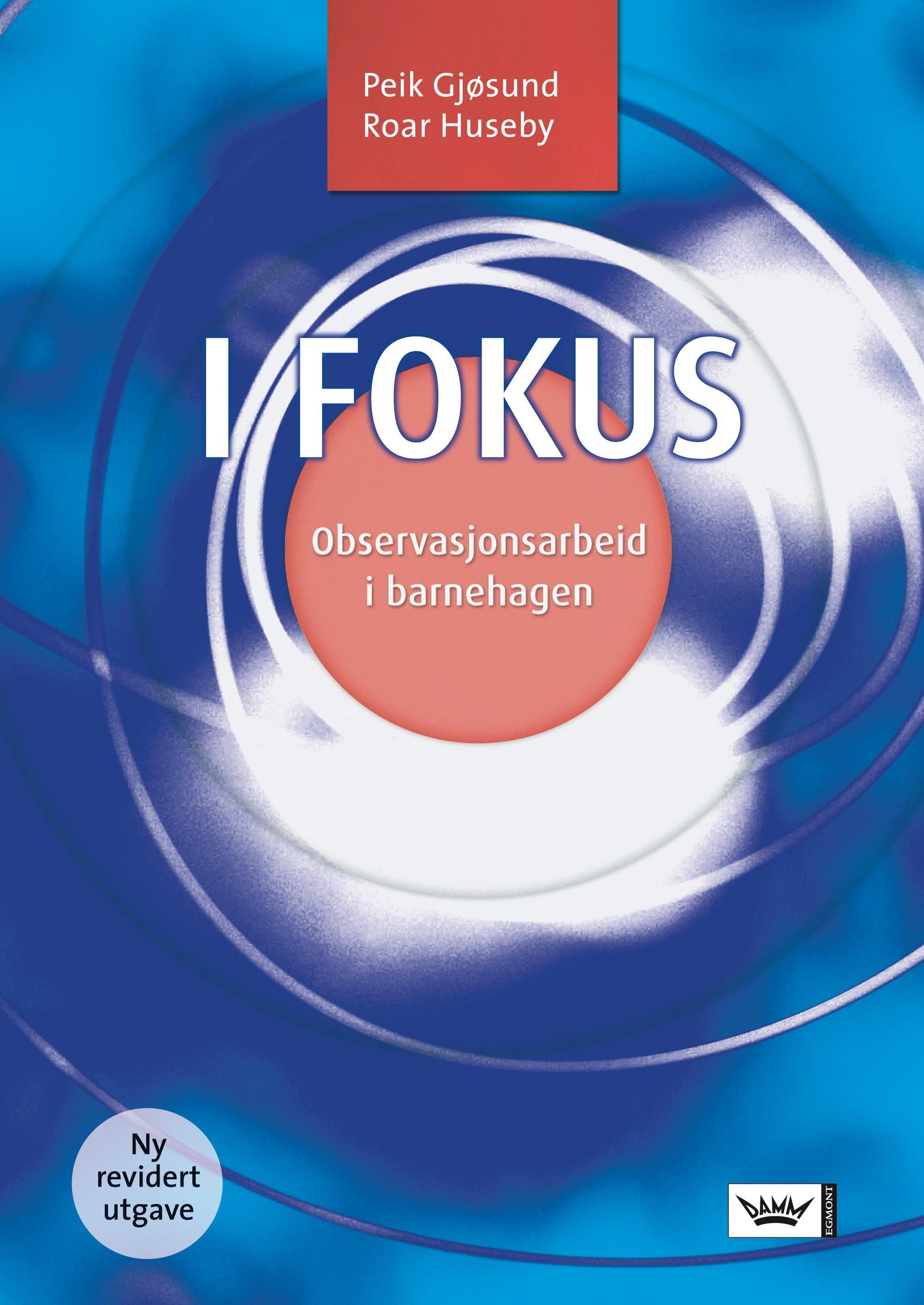 I fokus - observasjonsarbeid i barnehagen