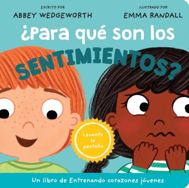 Para que son los sentimientos?