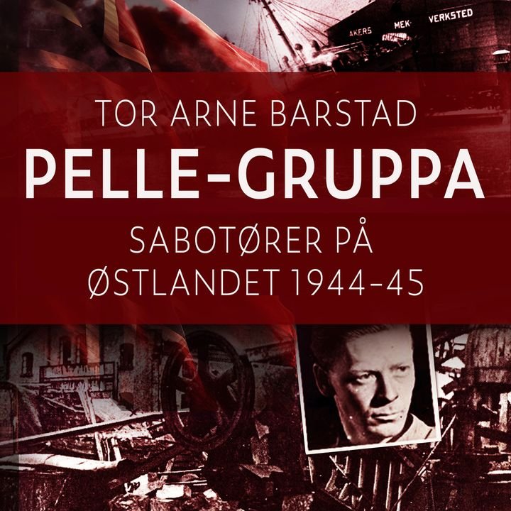 Pelle-gruppa - sabotører på Østlandet 1944-45