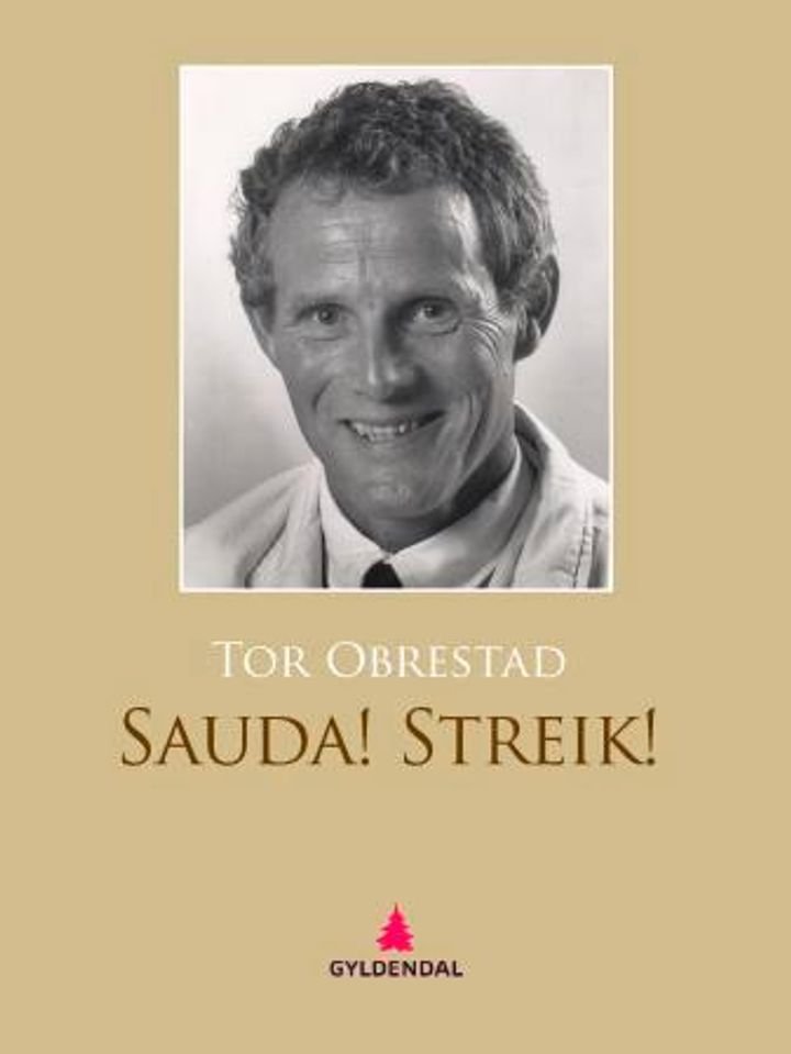 Sauda! Streik! - roman
