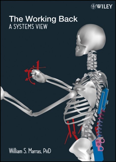 The Working Back – A Systems View