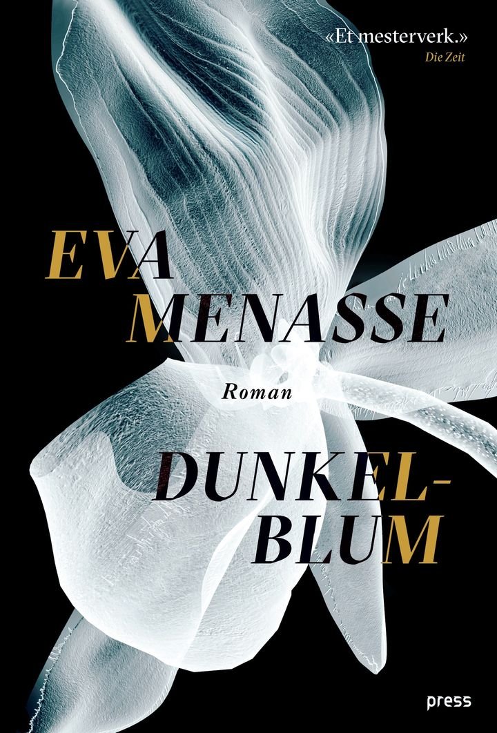 Dunkelblum - roman